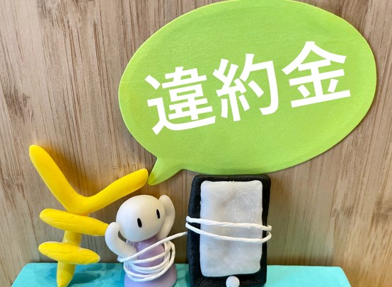 ソフトバンク光　ドコモ光　違約金